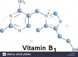 Vit B1.jpg