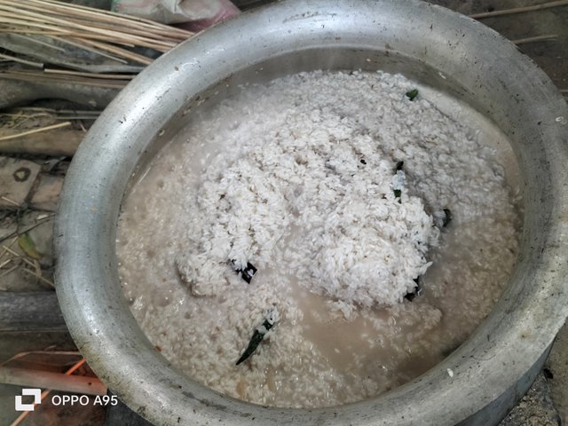 IMG20250612174943.jpg