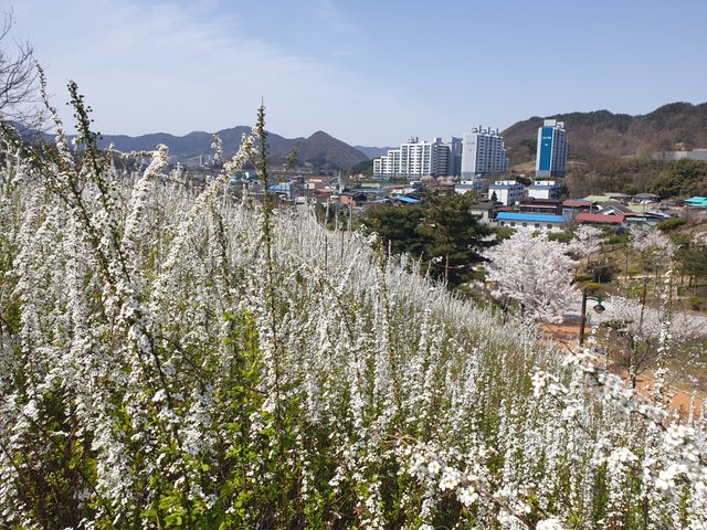 20220410_111504.jpg