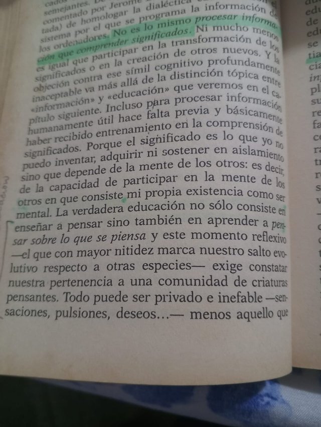 Imagen de WhatsApp 2025-08-15 a las 22.27.57_2f988a4b.jpg