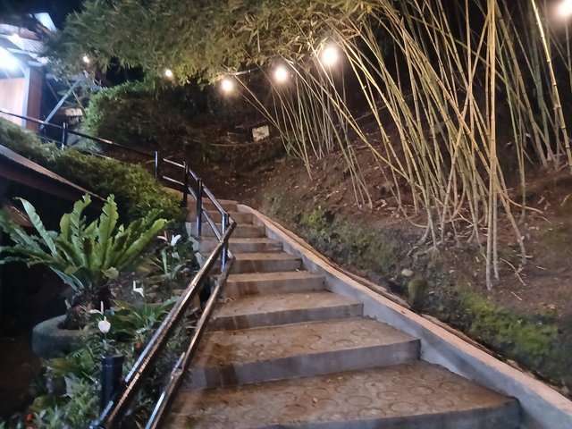 20250418_203850.jpg