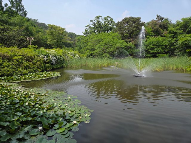 20250528_140957.jpg
