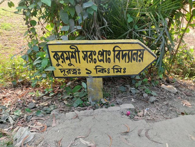 IMG20250401160214.jpg