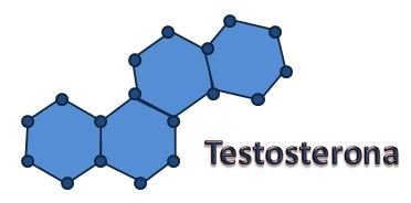 testosterona.JPG