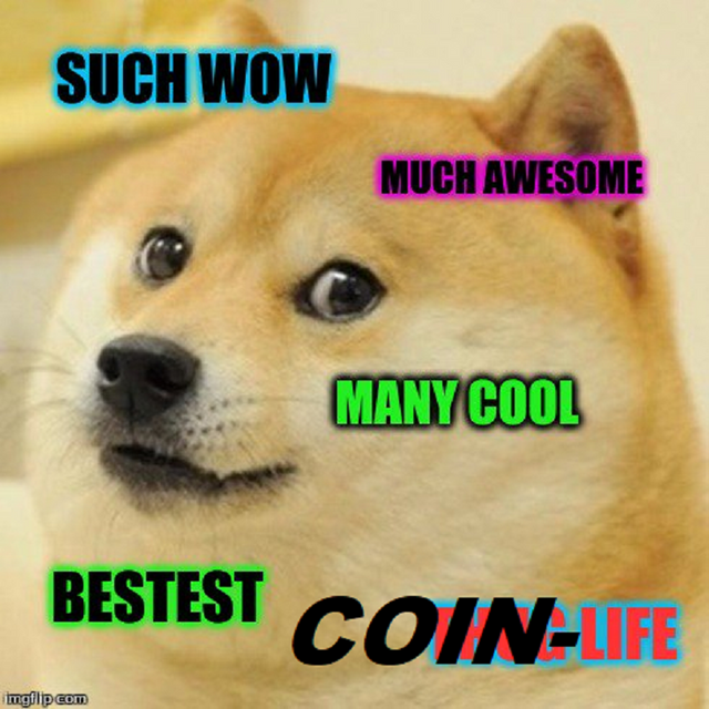 Doge COntest.png