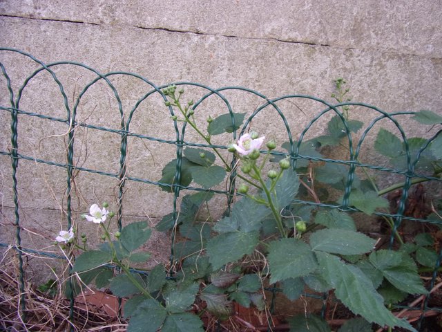 100_2644.JPG