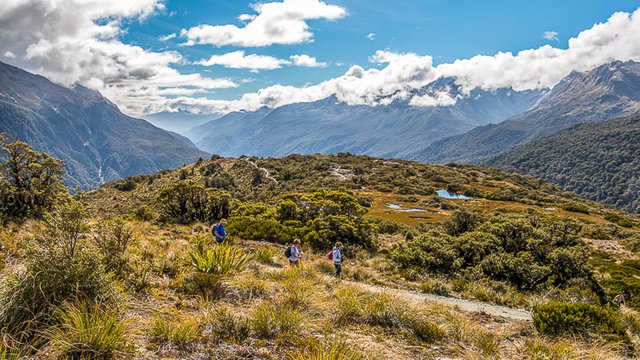 4-walking-key-summit-trail-fiordland-2.jpg