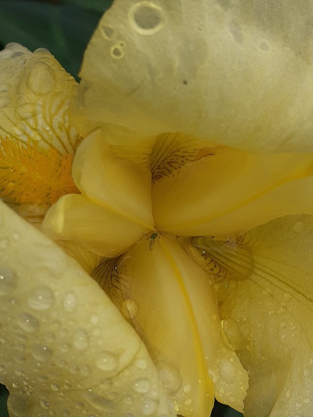 20250506_115502.jpg