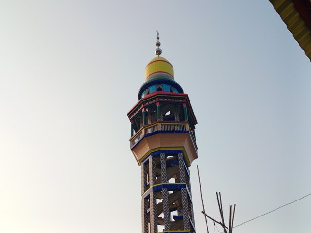 1000140973.jpg