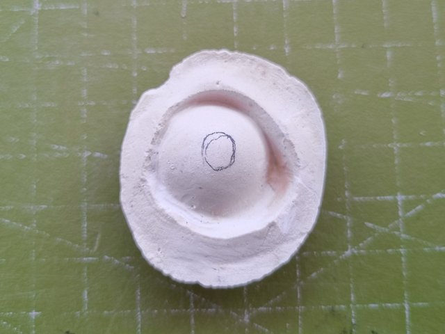 20250724_095532.jpg