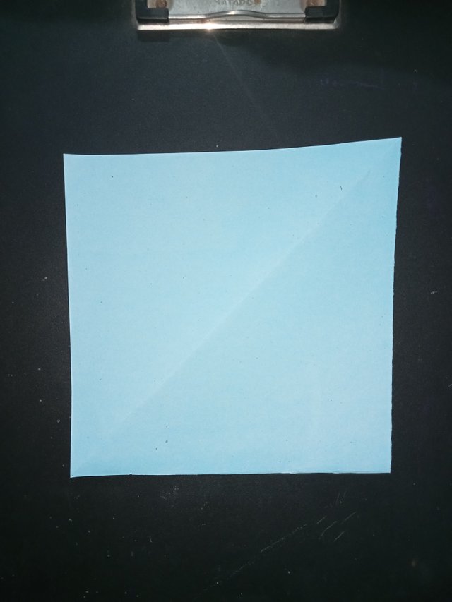 1000027144.jpg
