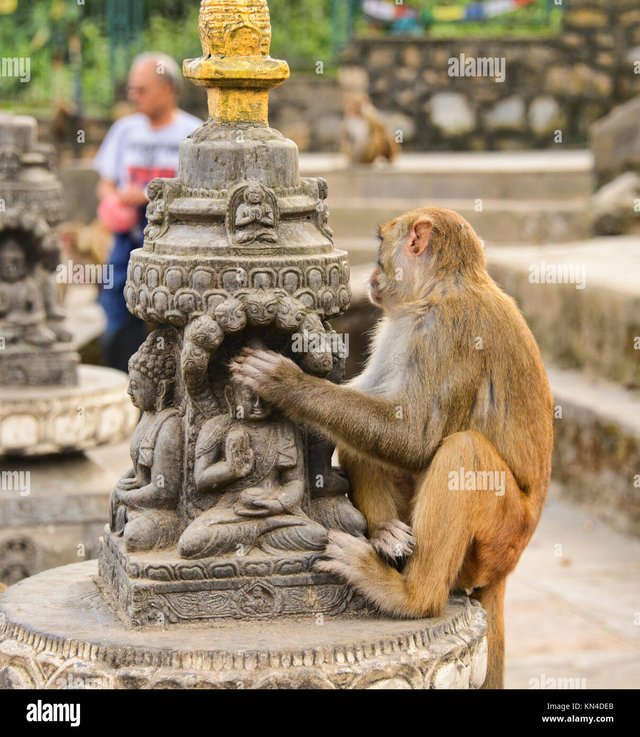 the-aptly-named-monkey-temple-swayambhunath-kathmandu-nepal-KN4DEB.jpg