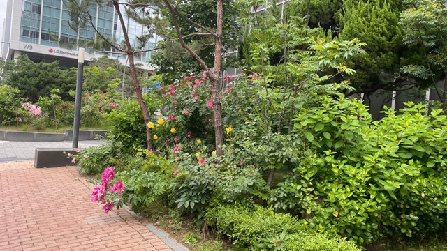IMG_7320.jpeg