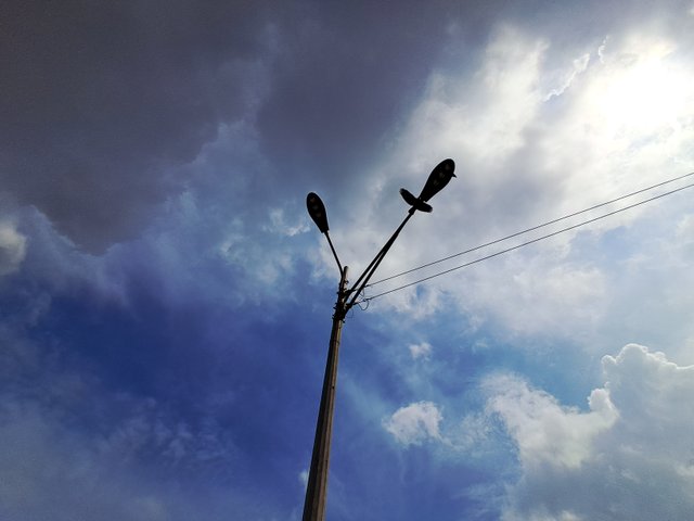 1000034729.jpg