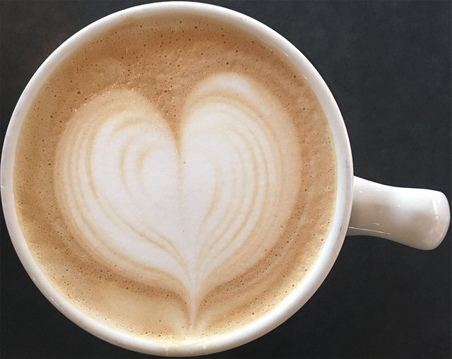 rosetta-espresso-milk-latte-art-skoolielove.jpg