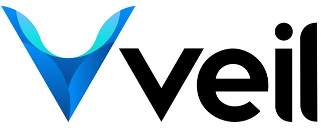veil-logo.jpg