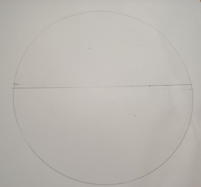 1000028642.jpg