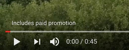 paid promotion.jpg