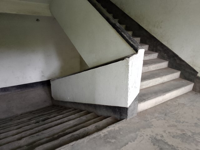 1000042155.jpg