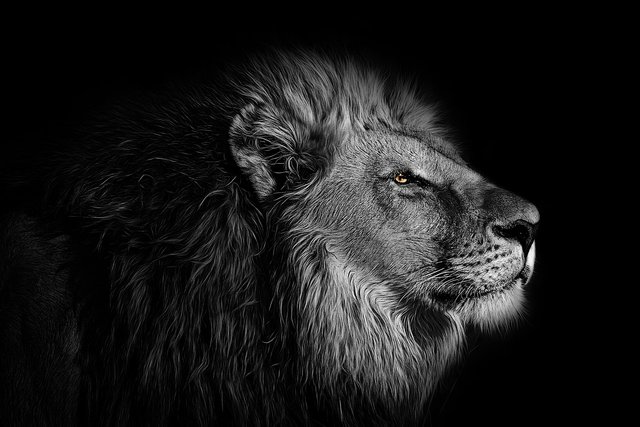 wallpaper-4106667_1280.jpg