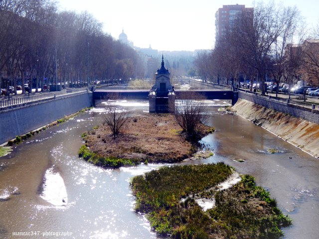 P1200470_acopia_edited.jpg