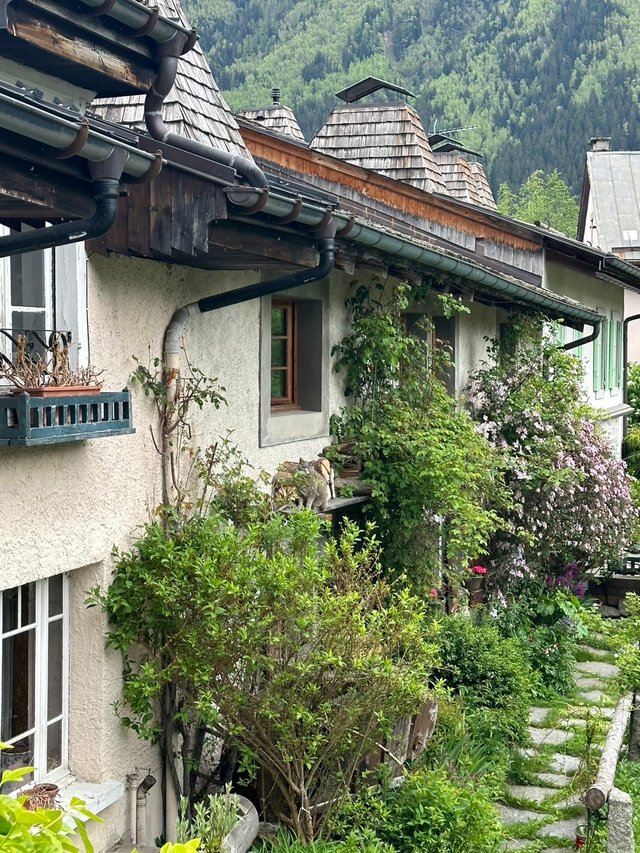 Chamonix-Mont-Blanc7.jpg
