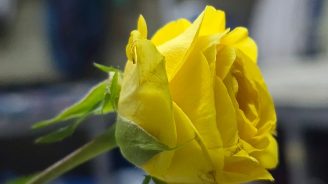 20250512_001822.jpg