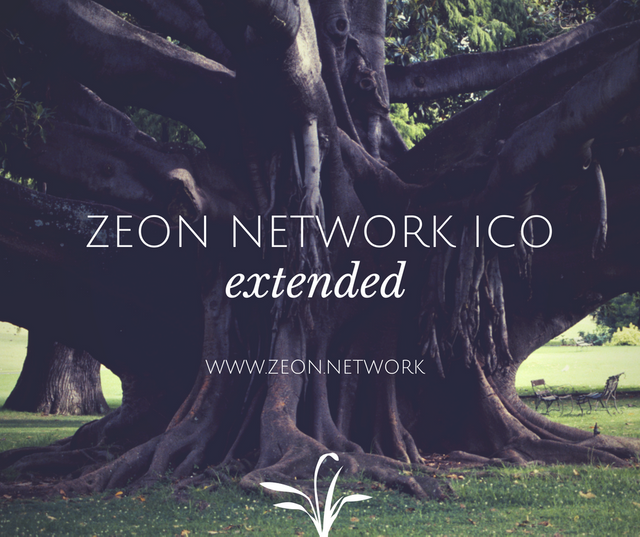 ZEON NETWORK ICO.png