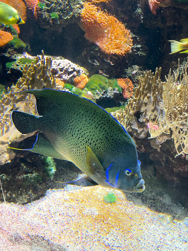 IMG_8175.jpeg