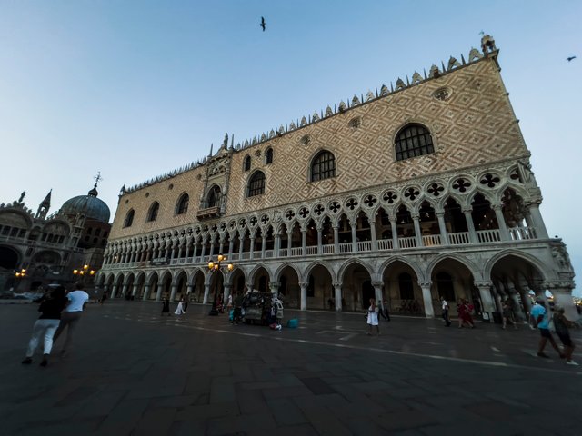 IMG_4695.jpg