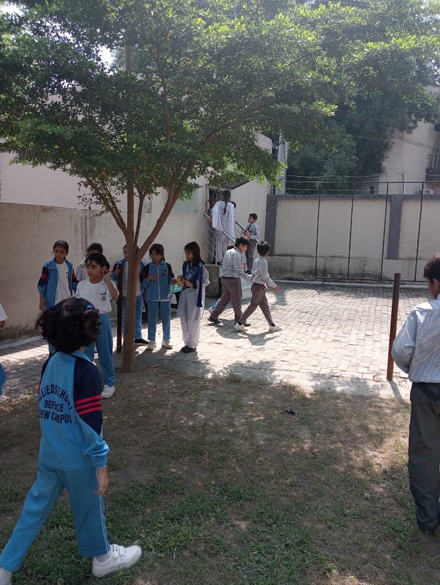 School1.jpeg