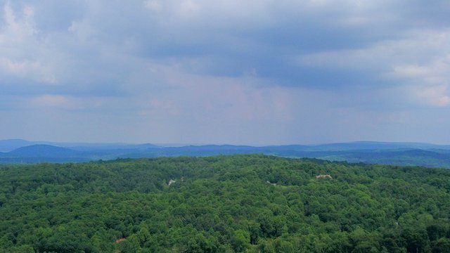 DJI_0130.jpg