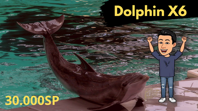 Dolphin X5.png