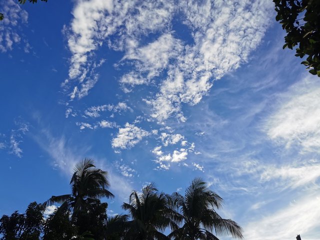 IMG_20250903_171056.jpg