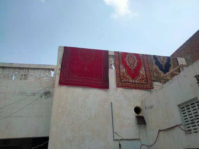 IMG20250916104841.jpg