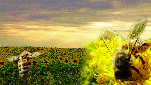1yyDSC04447 (1).png