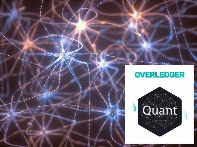 Quant Overledger Network.jpg