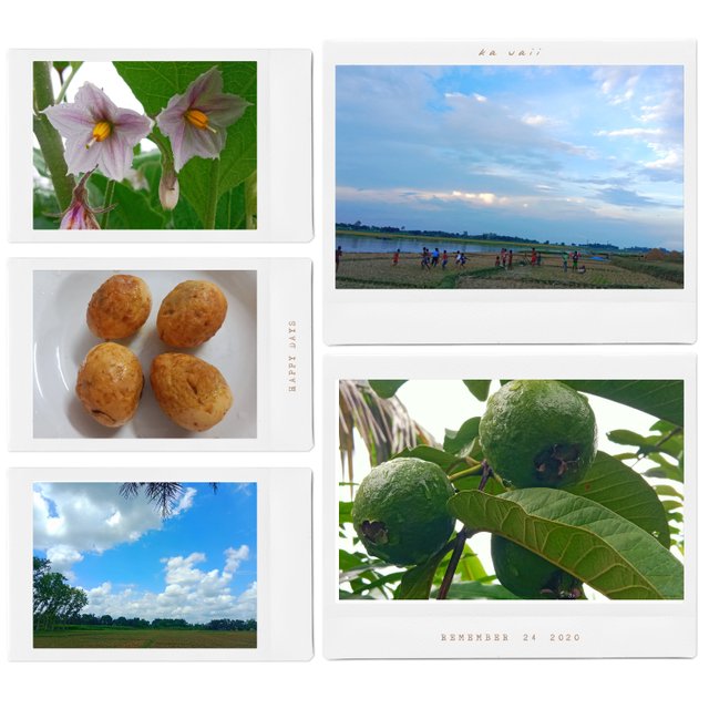 IMG_20250814_202143.jpg