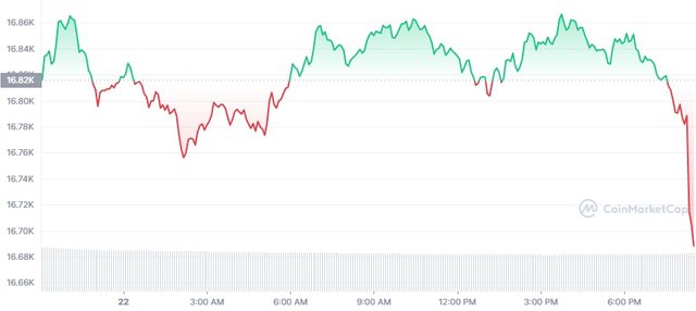 BTC_1D_graph_coinmarketcap.jpg