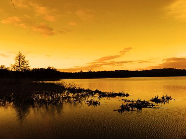 sepia lake.jpg