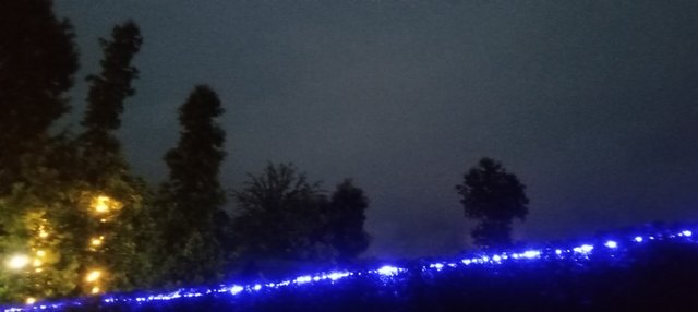20250805_191534.jpg