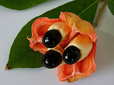 Ackee-Fruit.jpg