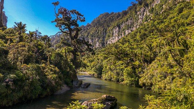 11-pororari-river-paparoa-west-coast.jpg