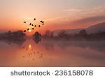 stock-photo-birds-silhouettes-flying-above-the-lake-against-sunset-236158078.jpg