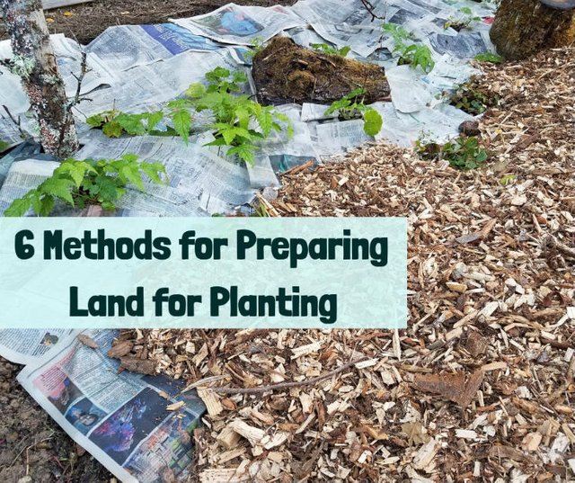 6-methods-prepare-land-featured.jpg