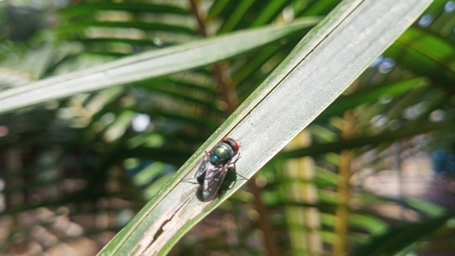 IMG20250530110816.jpg
