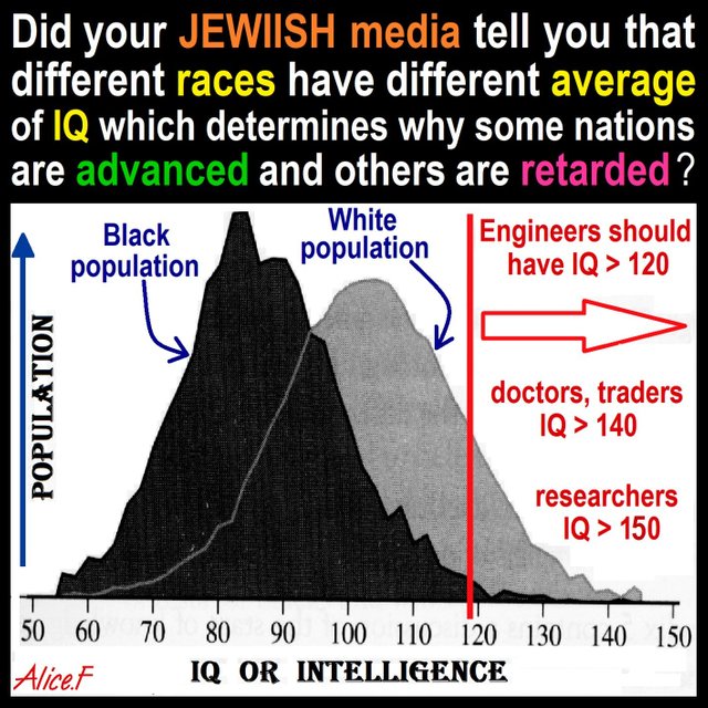 Did-your-JEWIISH-media-tell-you-that-different-races-have-different-average-of-IQ-intelligence-which-determines-why-some-natio.jpg