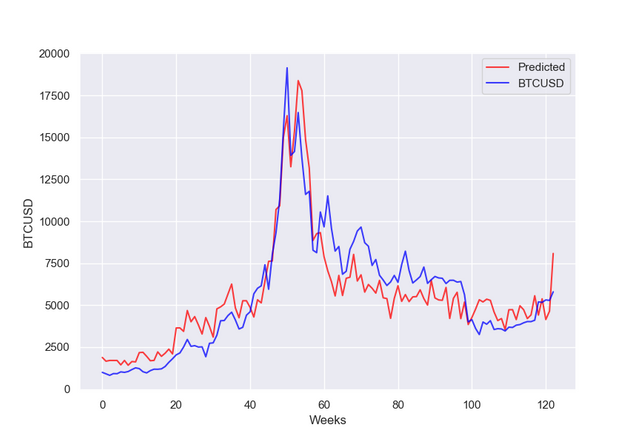 google trends.png