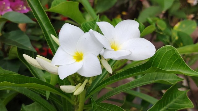IMG-20251002-WA0026.