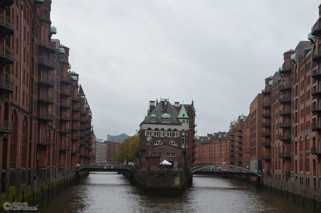 Hamburg (338).JPG